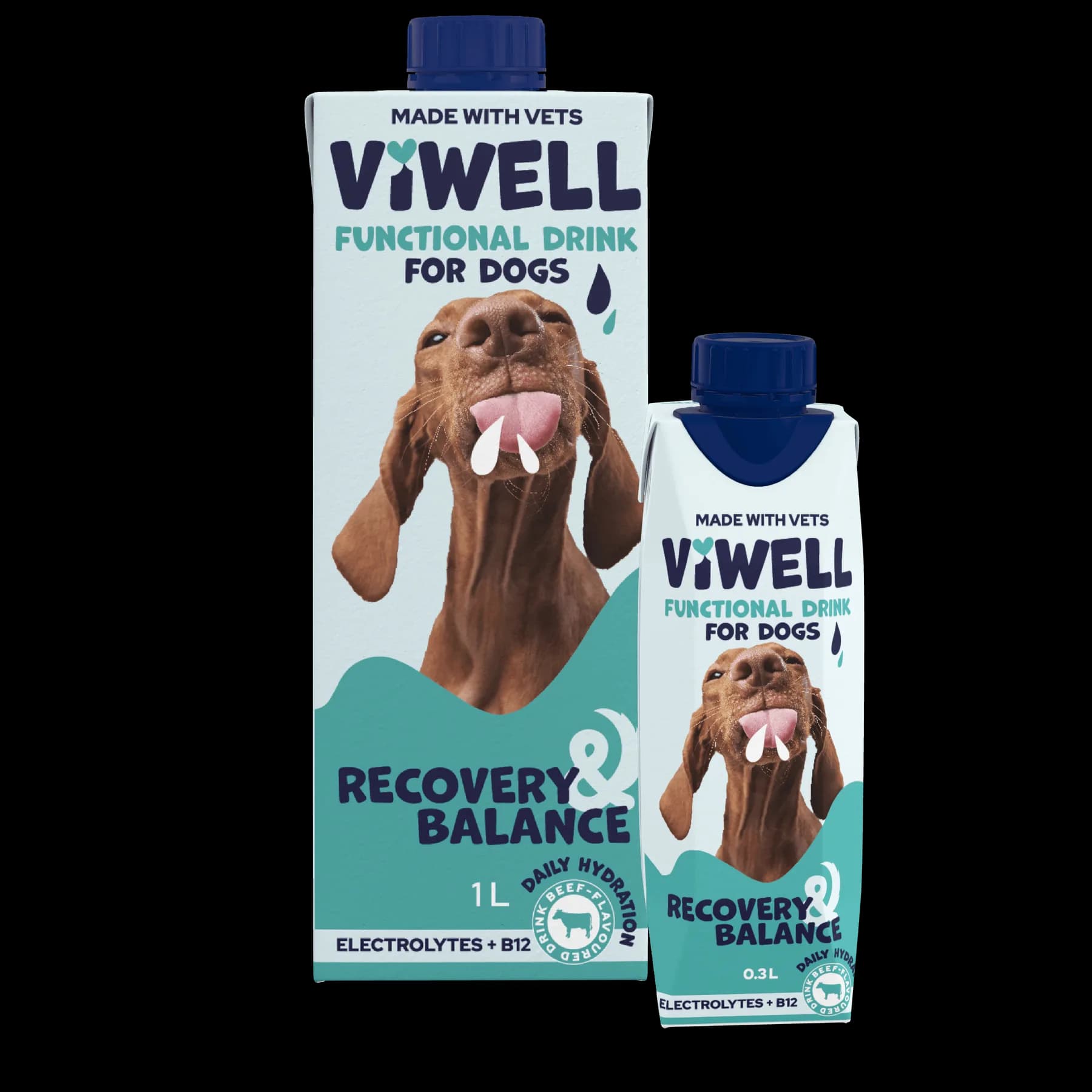 ViWell Recovery & Balance — balení 1 l a 0,3 l